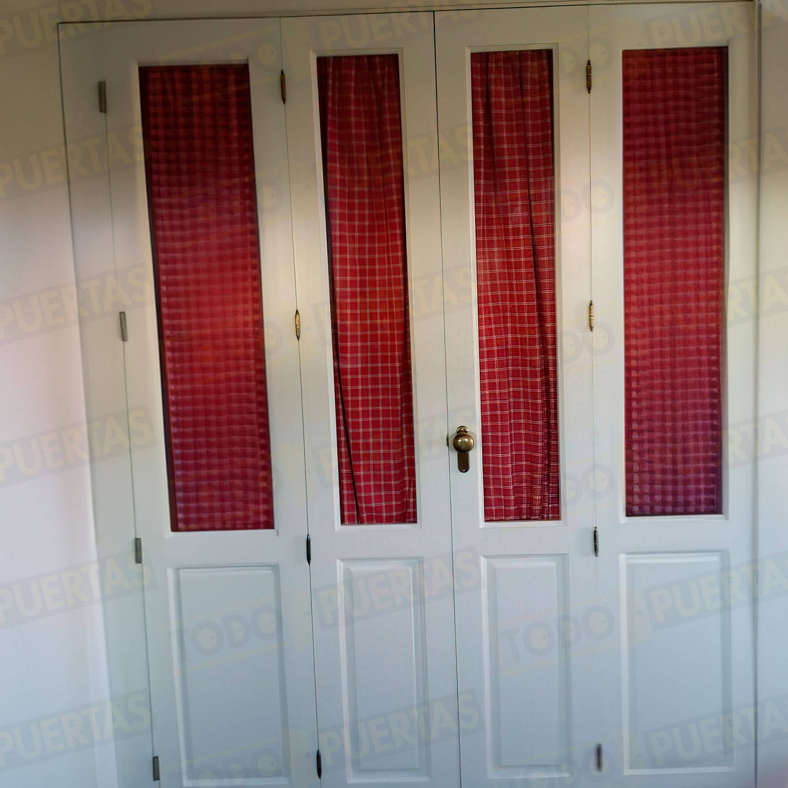 Foto Nuestros Productos cliente 170
