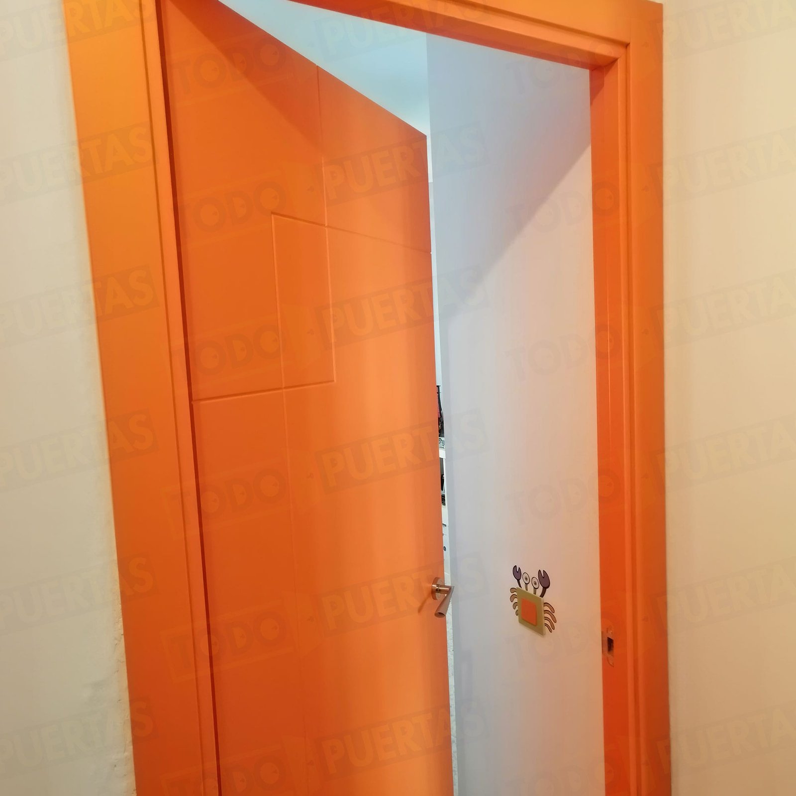 Foto Puertas Lacadas de Colores cliente 7