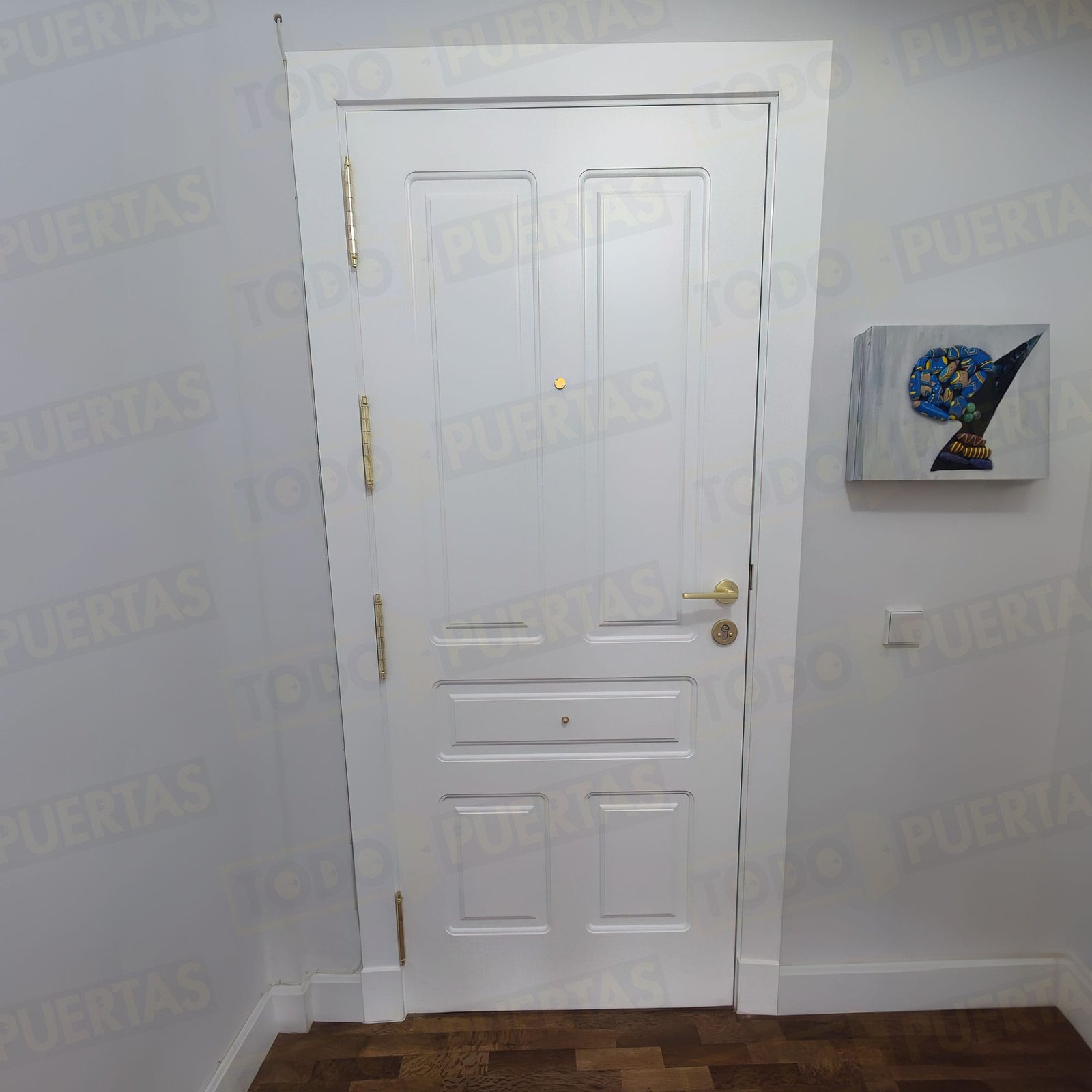 Foto Puertas de Entrada cliente 3