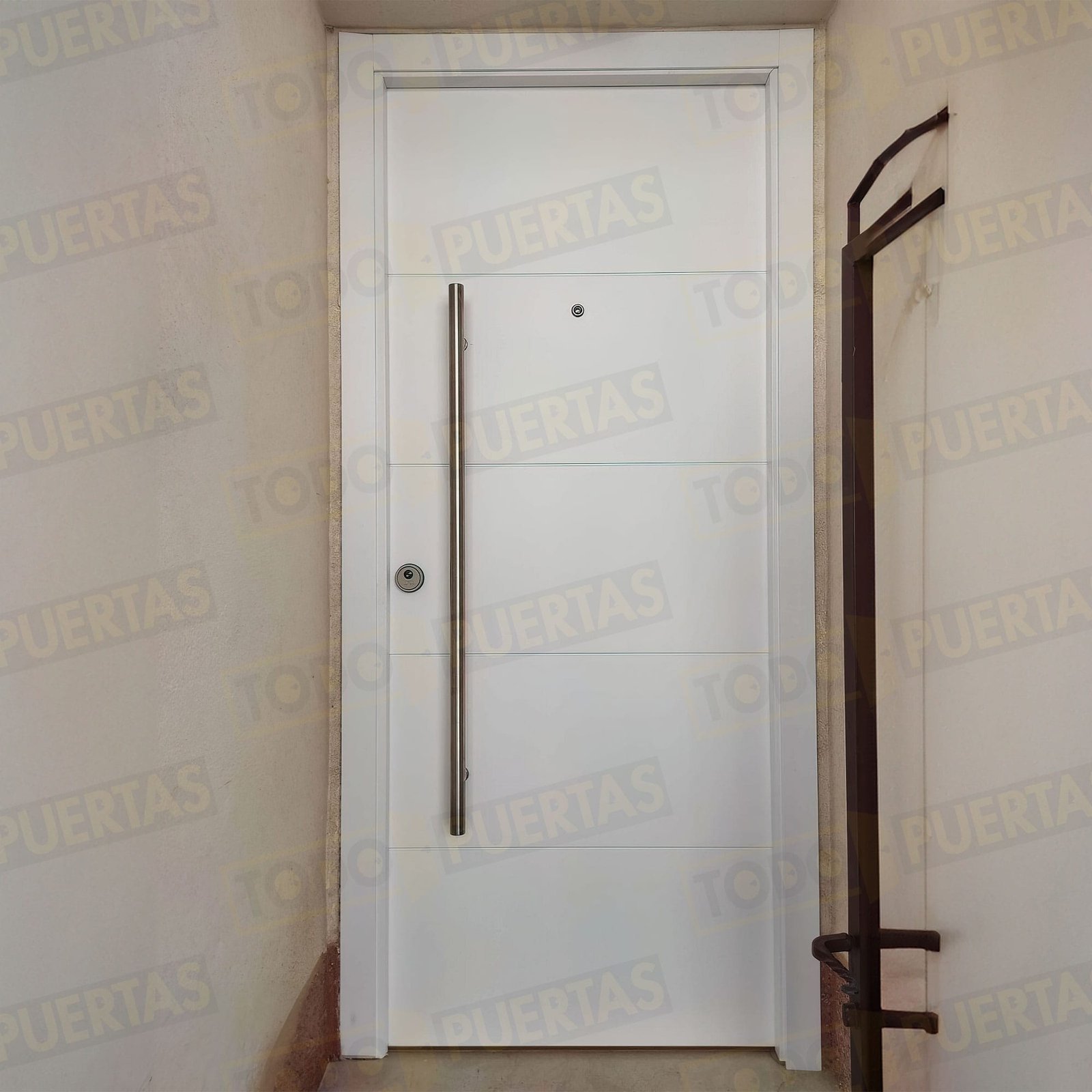Foto Puertas de Entrada cliente 19